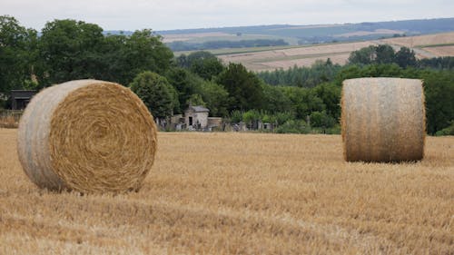 Darmowe zdjęcie z galerii z bele siana, krajobraz, natura