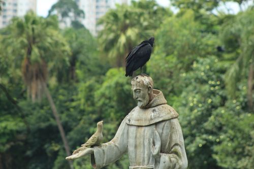 Free Statu Stock Photo
