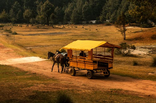 农村, 四輪的運貨馬車, 農村 的 免费素材图片