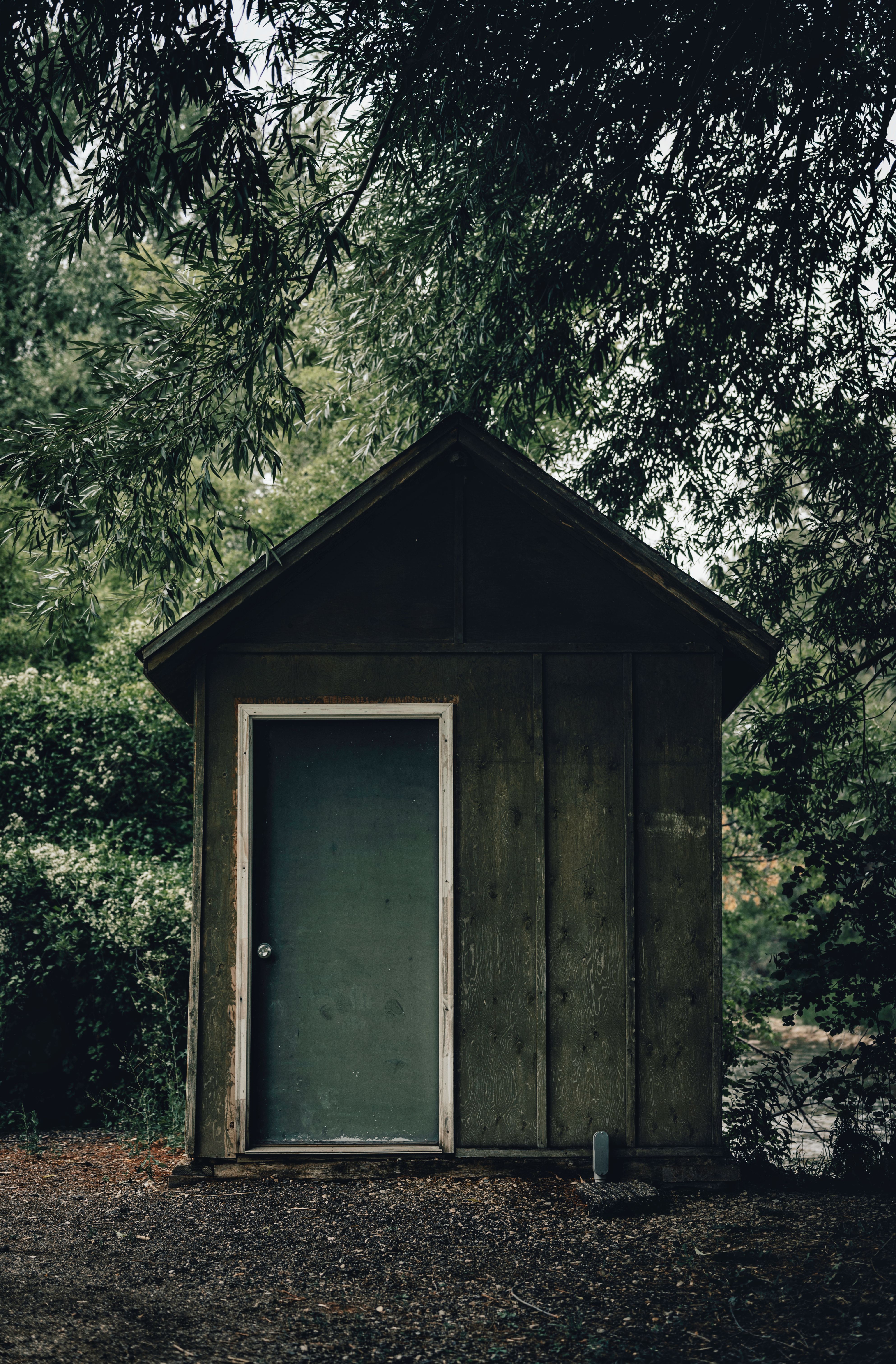 A Wooden House Near the Green Trees · Free Stock Photo