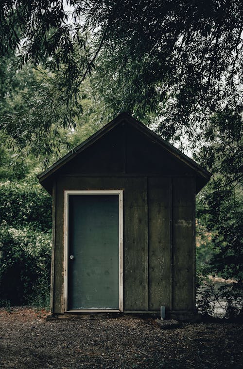 A Wooden House Near the Green Trees