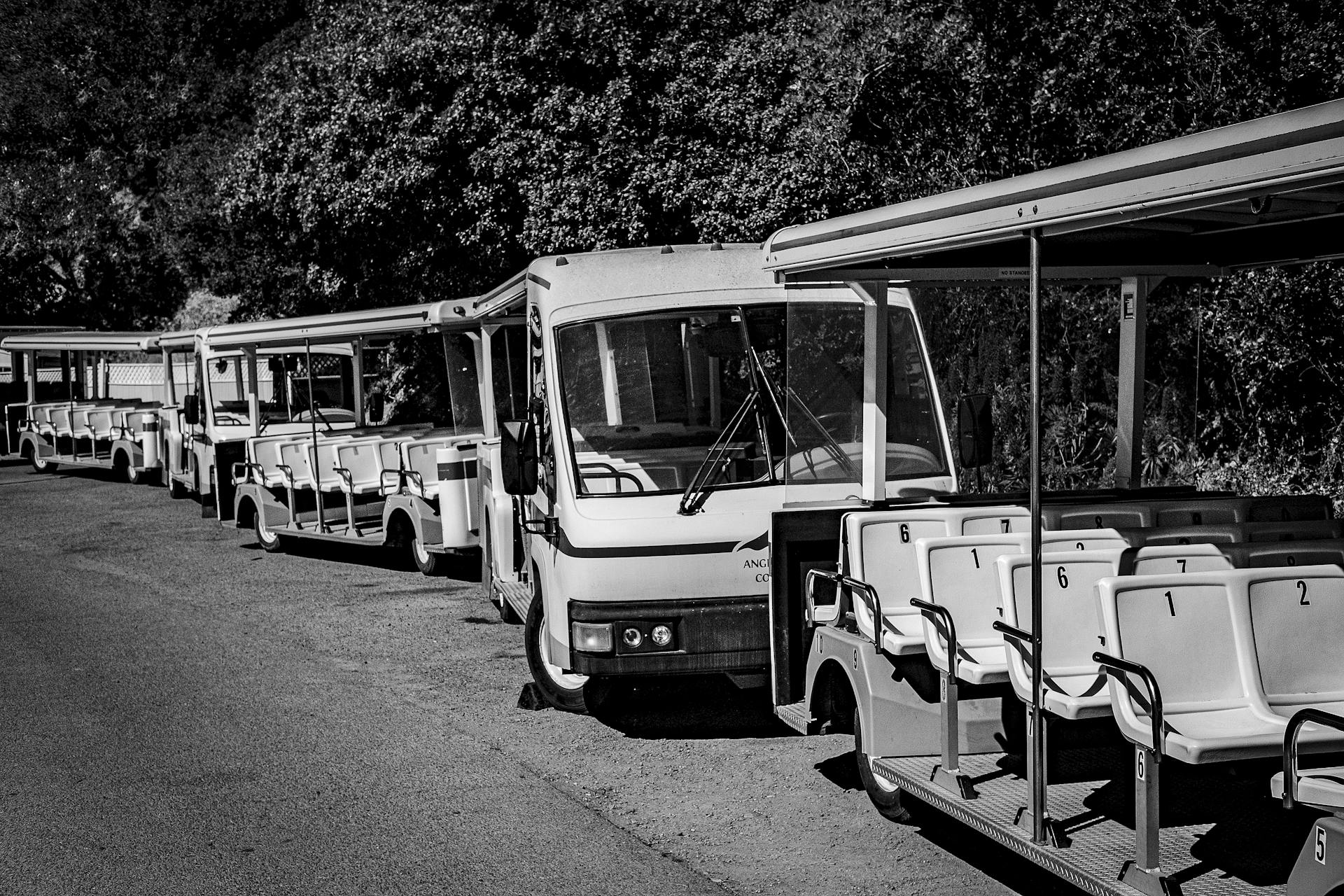 Carts in Line Outdoors
