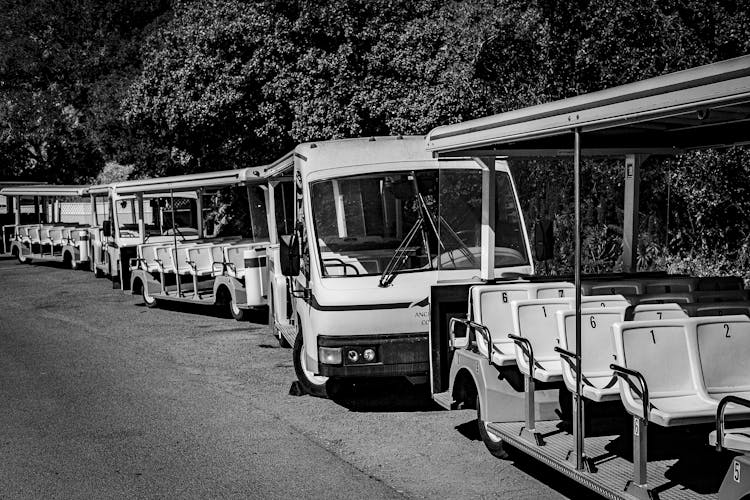 Carts In Line Outdoors 