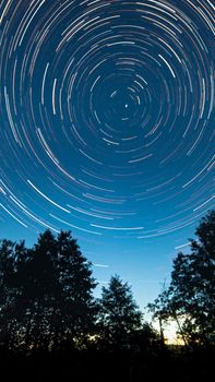 Vibrant star trails creating a circular pattern above a silhouetted forest, captured in a dramatic night sky scene.