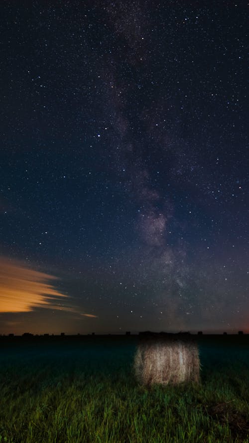 Free A Starry Sky over a Field Stock Photo