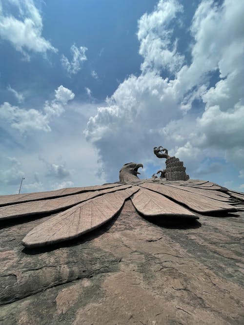 jatayu, kartal, kuş içeren Ücretsiz stok fotoğraf