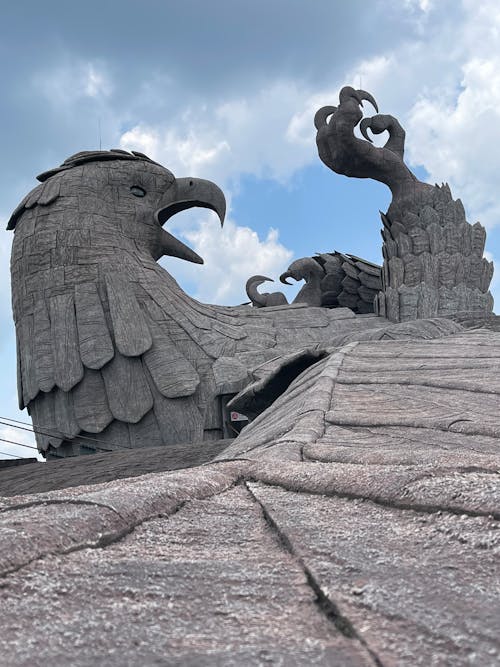 Ảnh lưu trữ miễn phí về chim, Đại bàng, jatayu