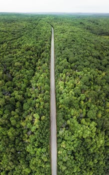 Aerial shot of a long road cutting through a dense, verdant forest in daylight.