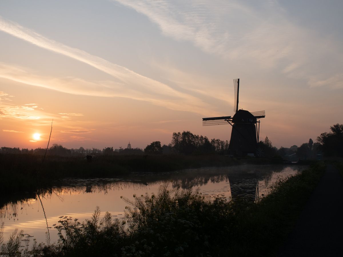 3 Day Guided Psilocybin Retreat in the Netherlands 1