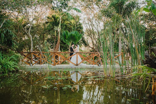 Ingyenes stockfotó botanikuskert, együtt, esküvői fotózás témában