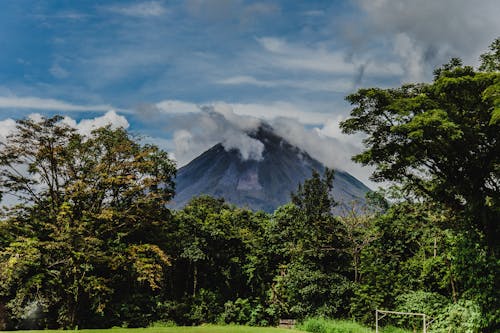 Green Trees Covering the Volcano 