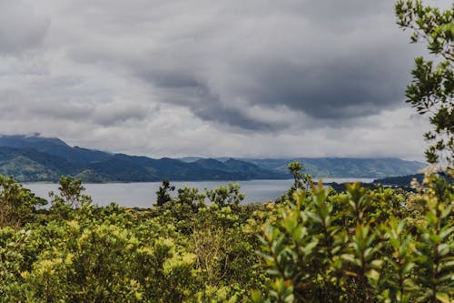 Mountains and a River under a Cloudy Sky 