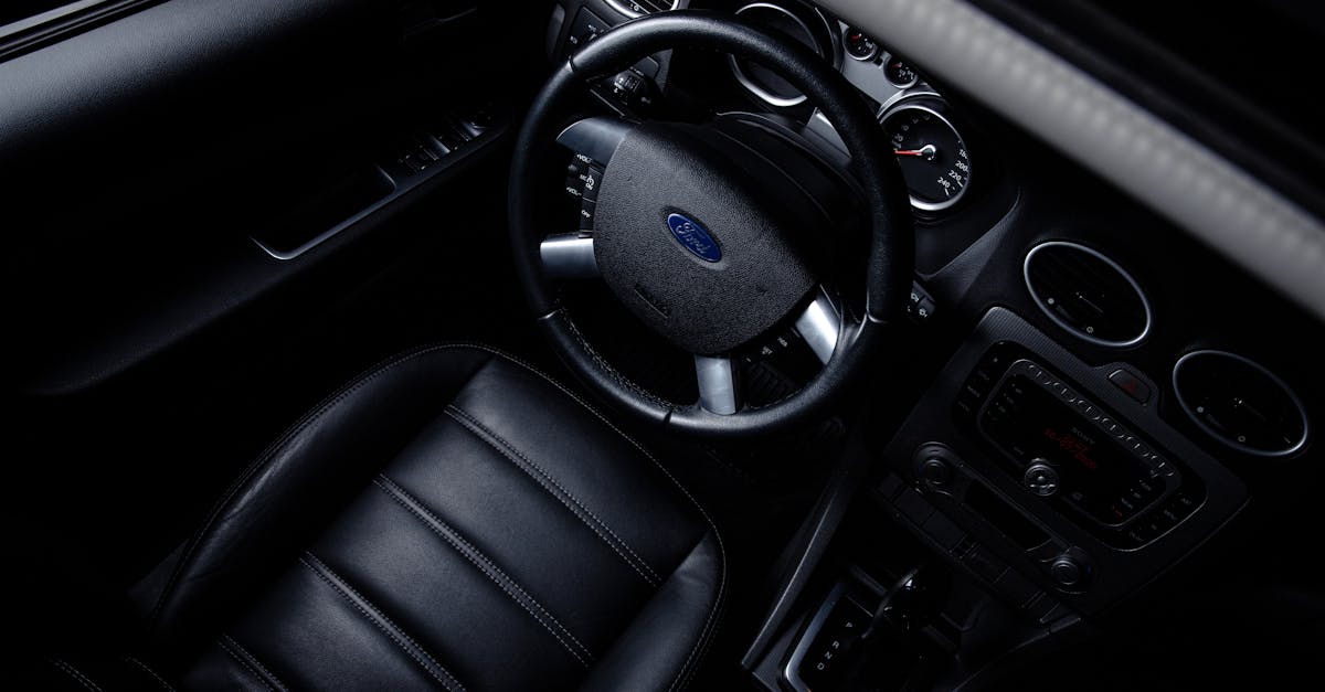 How to get rid of black widows in car