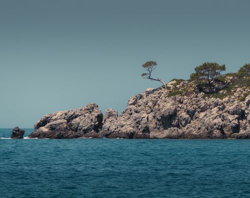 Free Scenic view of a rocky sea shore with a lone tree under a blue sky. Stock Photo
