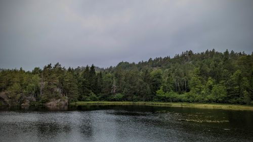 Free Tranquil view of a forest and lake under overcast skies in Norway. Stock Photo