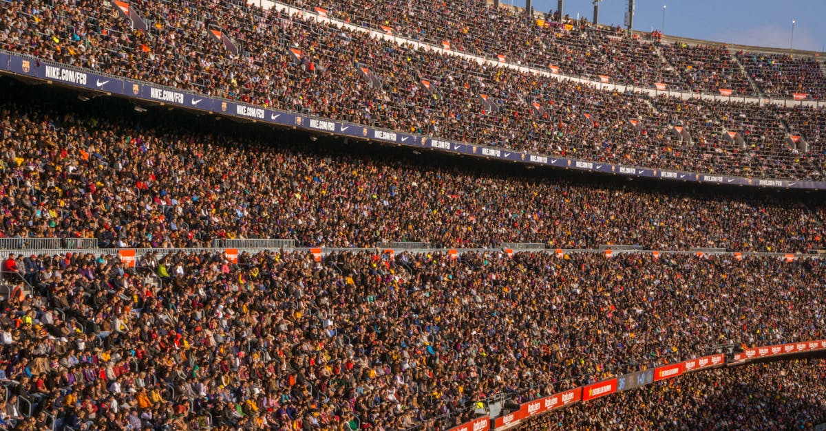 People in Football Stadium ยท Free Stock Photo