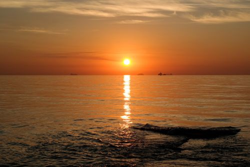 Free Stunning sunset view over the Black Sea in Odessa, Ukraine, capturing serene waves and warm colors. Stock Photo