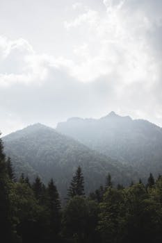 天空多云，云雾缭绕的群山与郁郁葱葱的森林构成一片景色