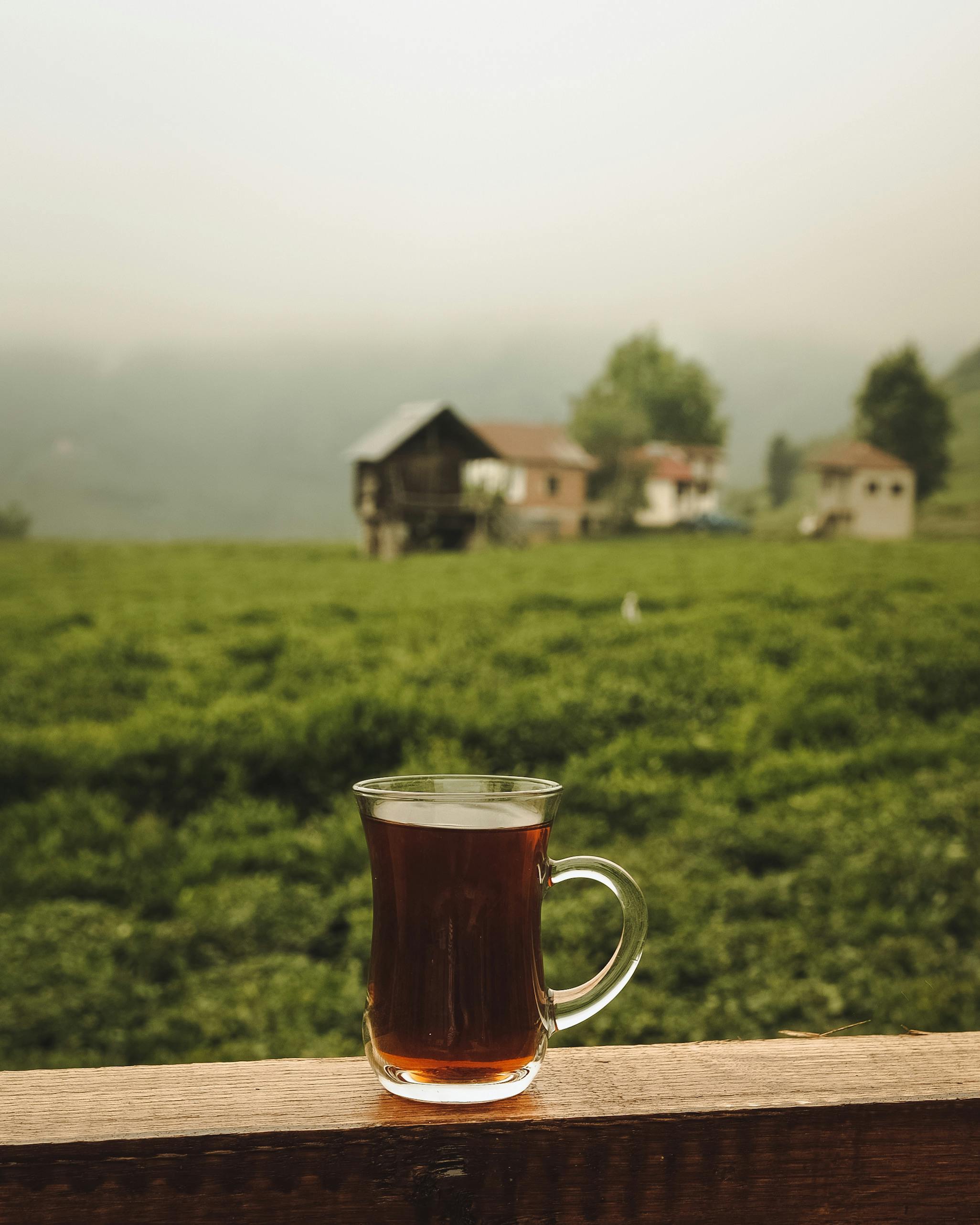 Turkish tea served on a balcony with a view of a tea plantation in Rize, Turkey.