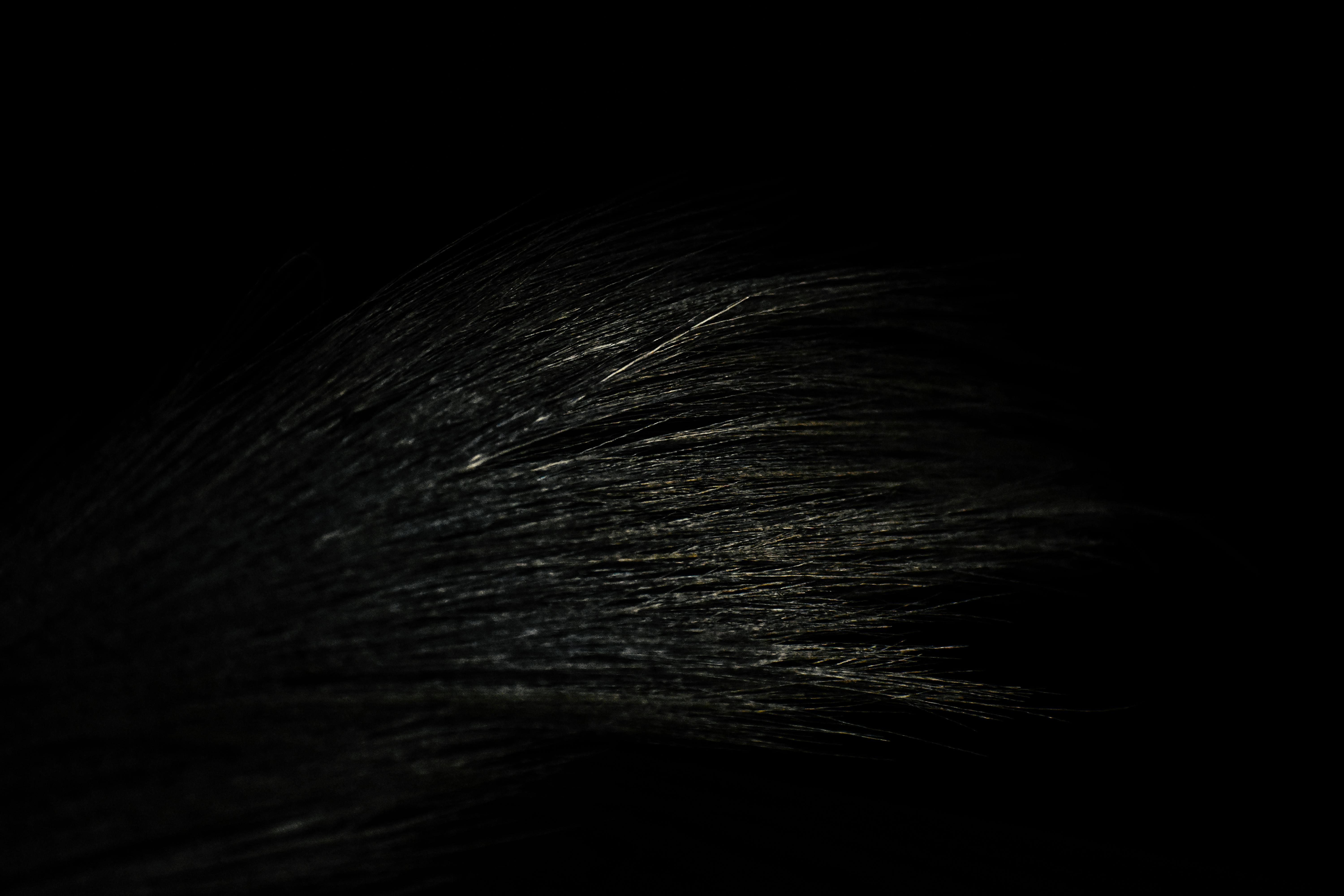 Free stock photo of black, shadows