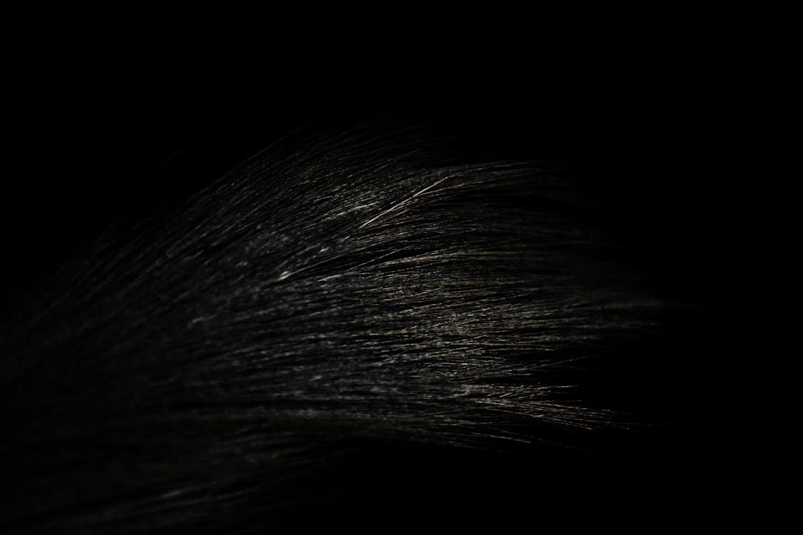 Free stock photo of black, shadows