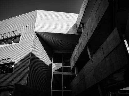 A Grayscale Photo of a Building with Glass Windows