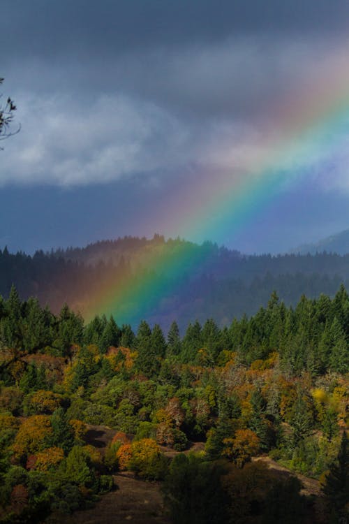 Základová fotografie zdarma na téma barevný, bílé mraky, duha