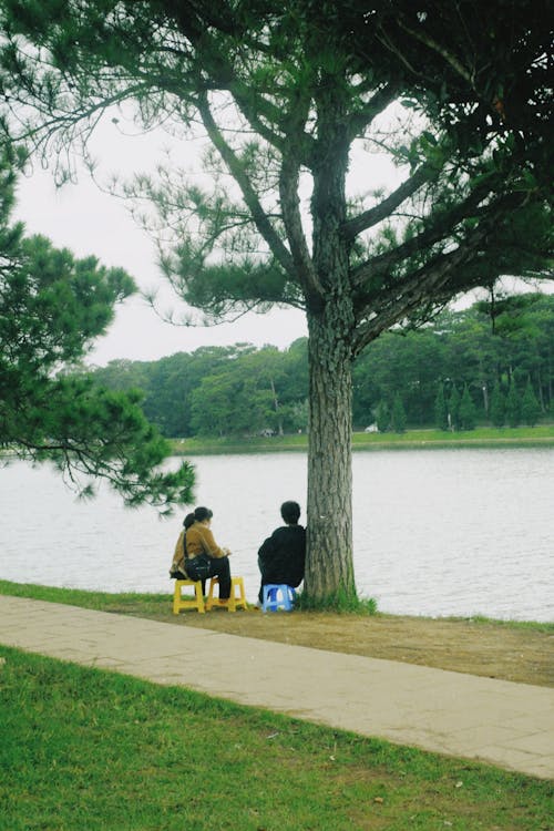 Free People Sitting Under the Tree Near the Lake  Stock Photo