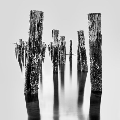 Free Eerie black and white image of wooden piles submerged in still water, creating reflections. Stock Photo
