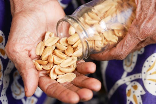 Foto stok gratis kacang-kacangan, memegang, merapatkan