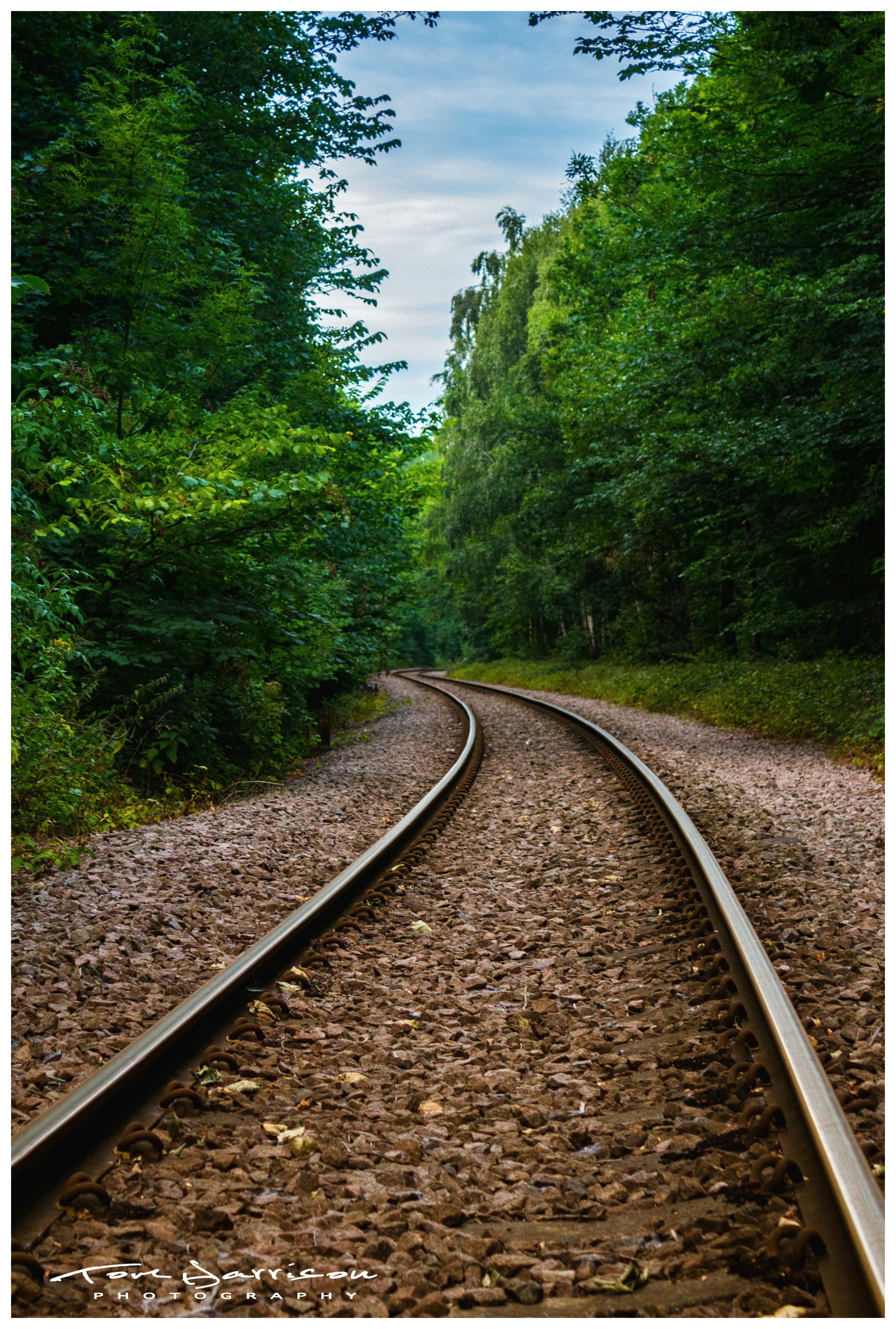 Free stock photo of train tracks, trees, woods
