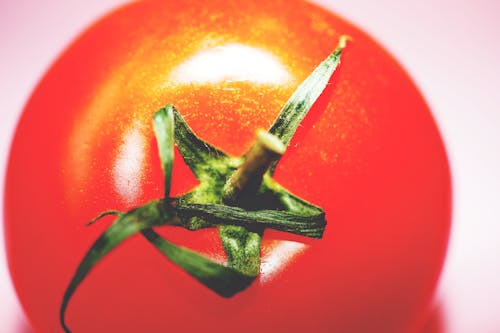 Closeup Photography of Red Tomato