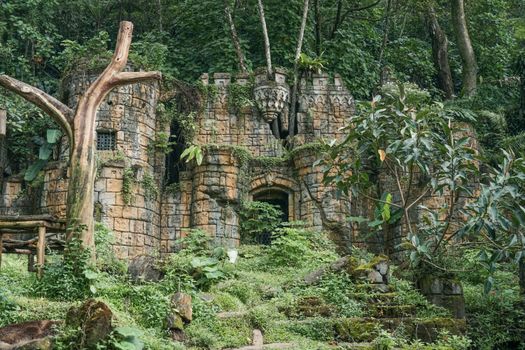 Mysterious overgrown castle ruins surrounded by lush forest vegetation.