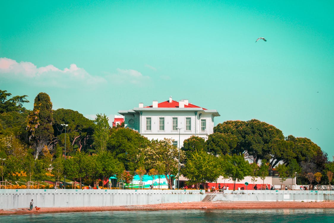 White House Surrounded by Trees