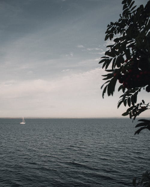 Sailboat In The Horizon