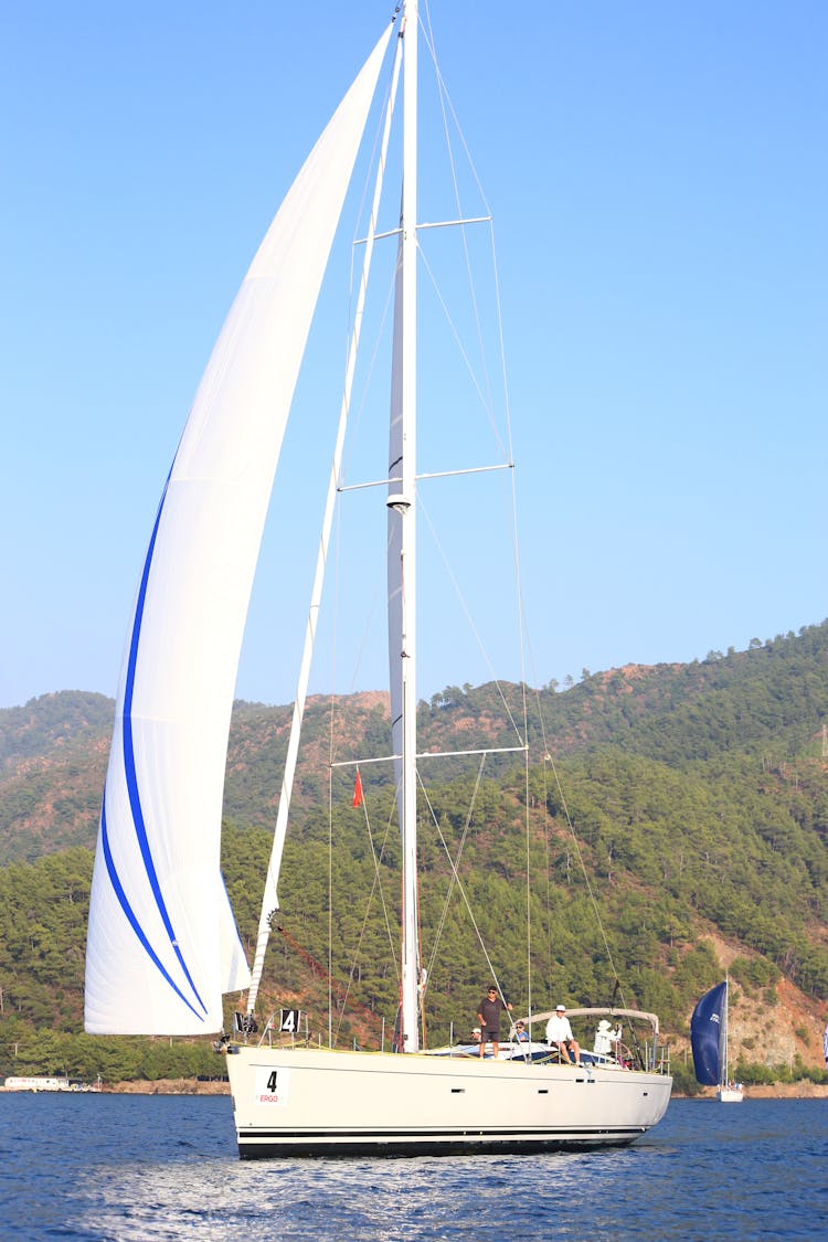 White Sail Boat On Water