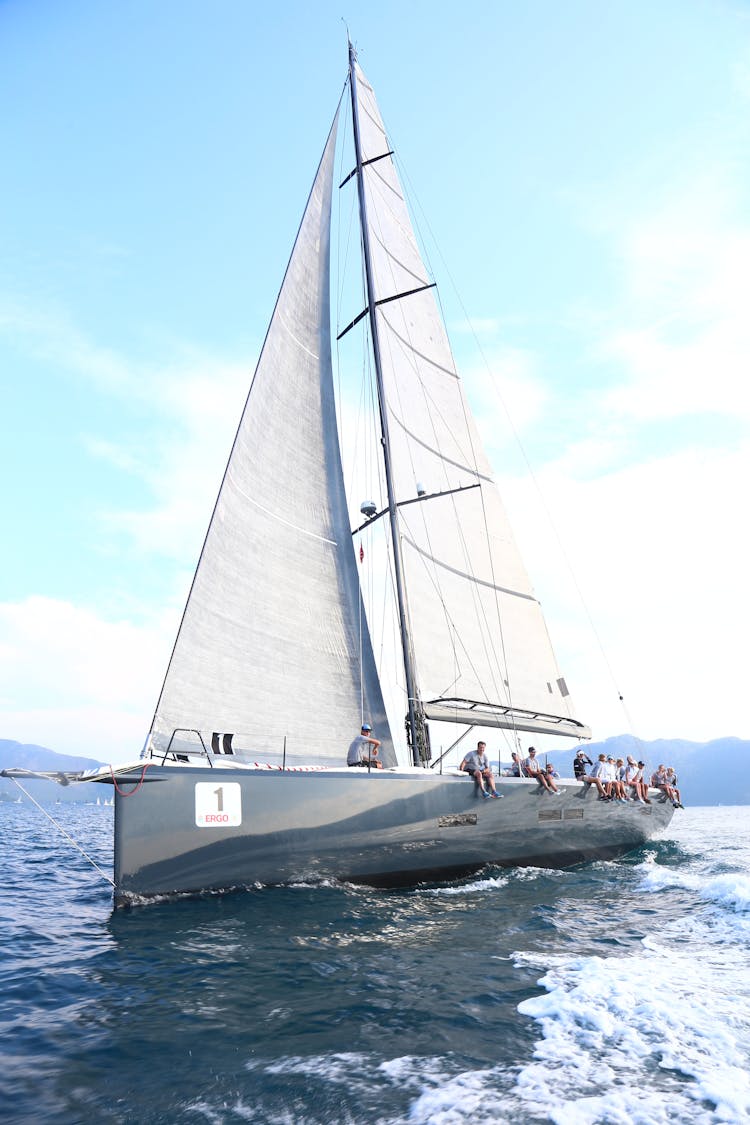 People Sailing In The Sea 