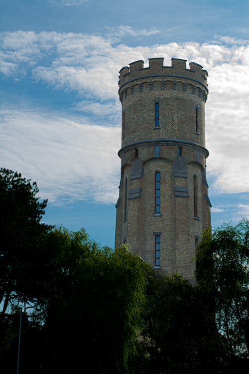 Imagine de stoc gratuită din arbori, arhitectura gotică, fortificație