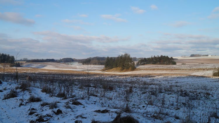 Snow Covered Grassland