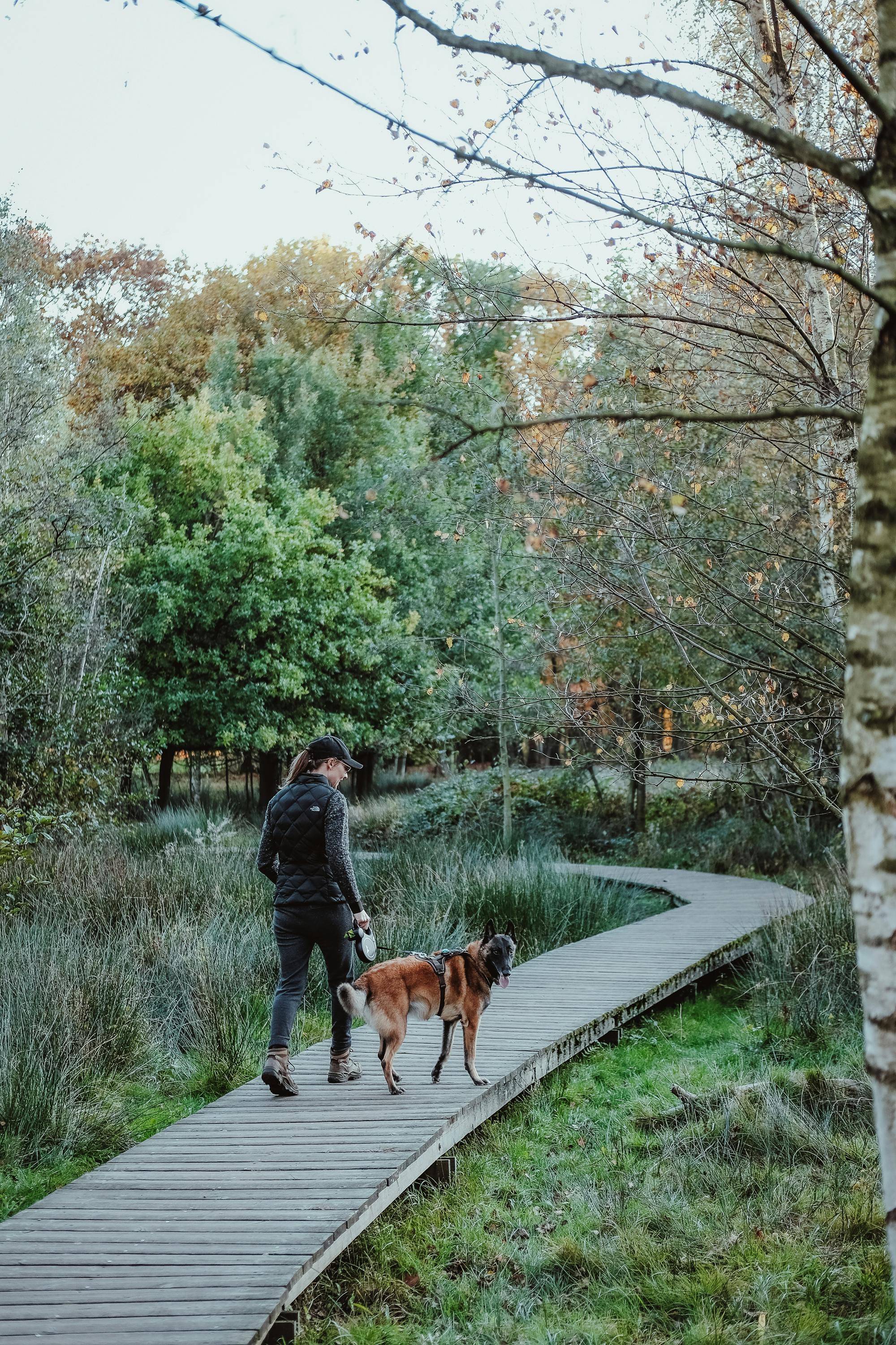 A woman and her dog walking on a serene wooden pathway through a lush green park.