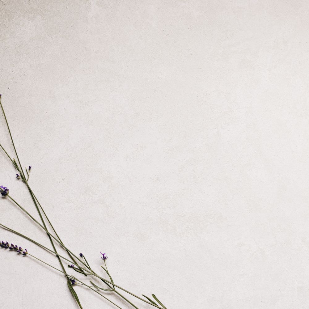 Wallpapering in Woolwich — clean edges cut in around trim and sockets