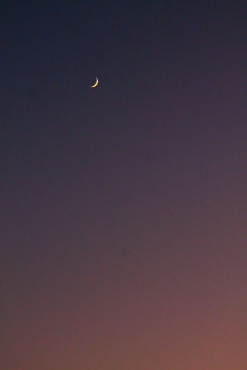 Free A crescent moon shines in a darkening twilight sky, capturing serene nighttime beauty. Stock Photo