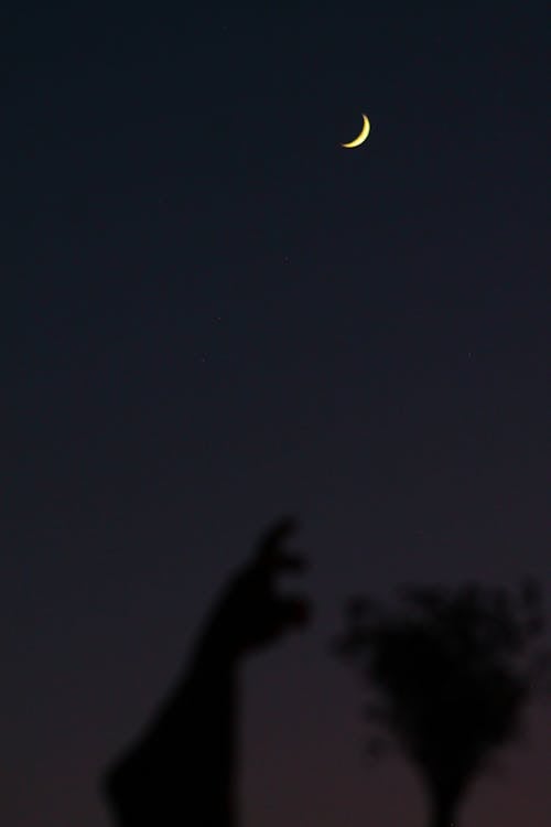 คลังภาพถ่ายฟรี ของ จันทรคติ, ซิลูเอตต์, ถ่ายภาพพระจันทร์