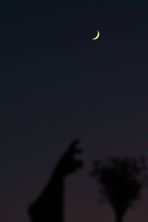 Crescent Moon in the Dark Sky