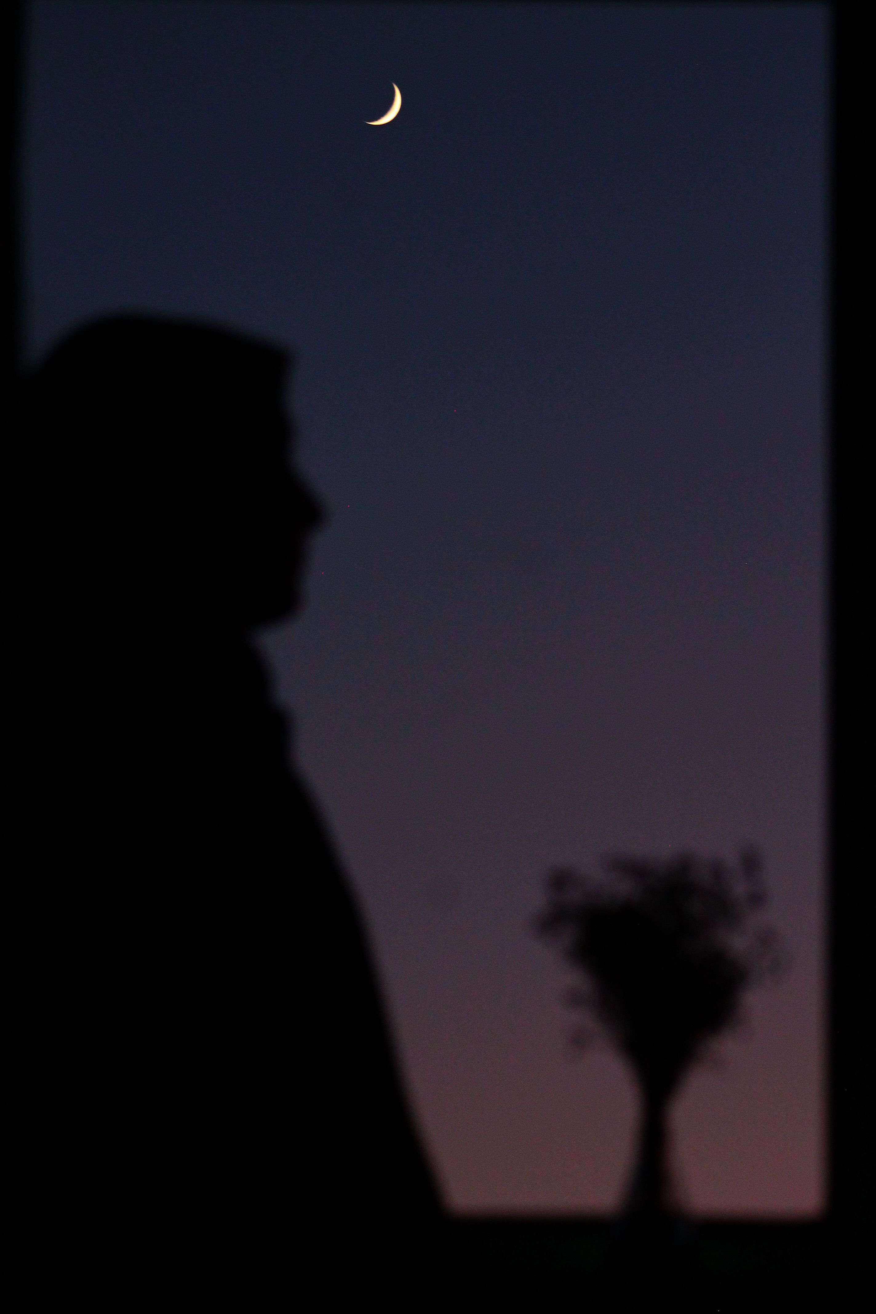 A silhouetted figure with flowers against a crescent moon in a dark twilight sky.