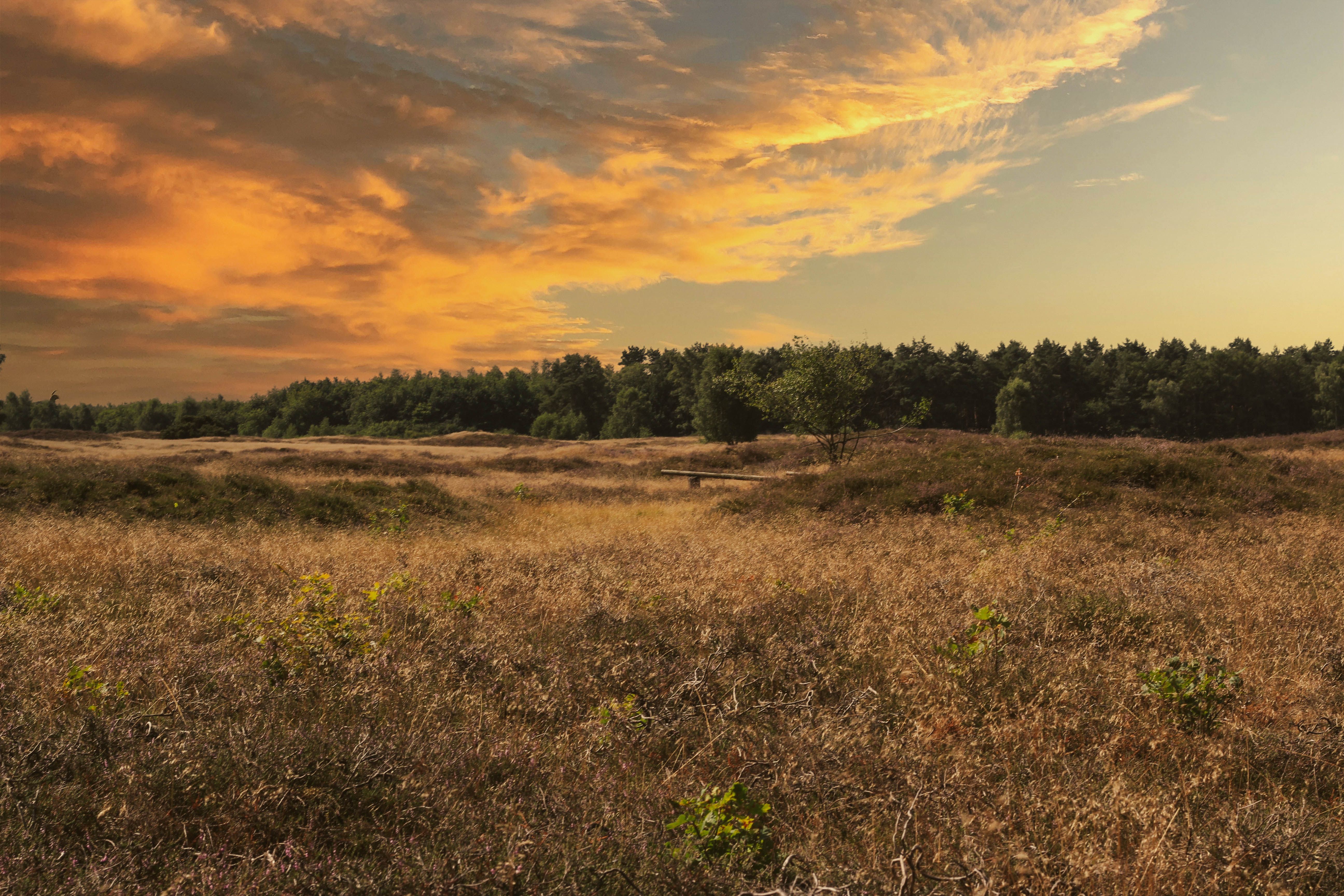 Green Grass Field Under Cloudy Sky · Free Stock Photo