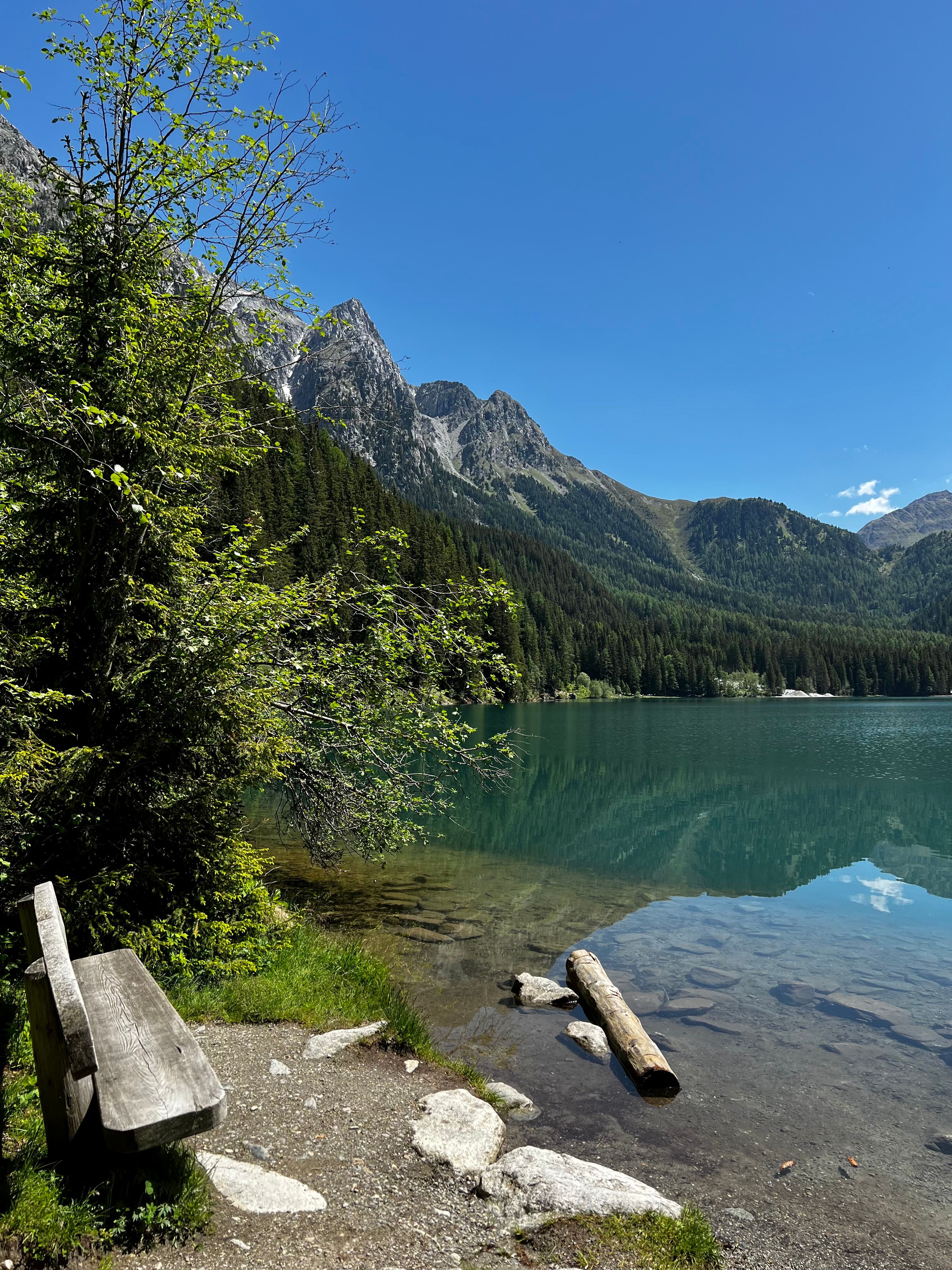 A Lake Surrounded by Green Trees · Free Stock Photo
