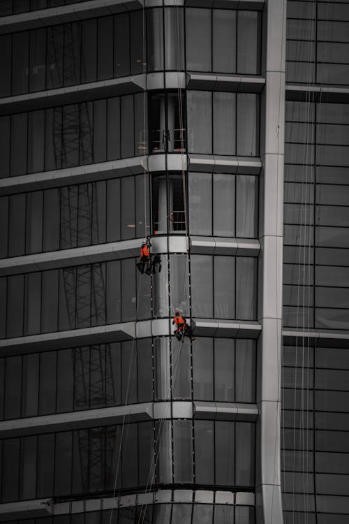 People Cleaning the Glass Wall of a Building