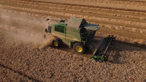 Green Combine Harvester Working in Field