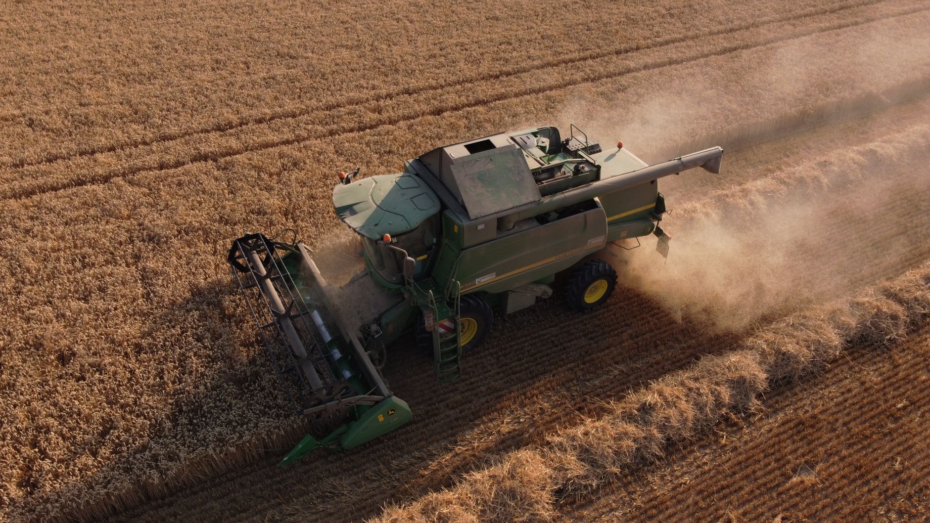 farm field harvest crops photograph for this story